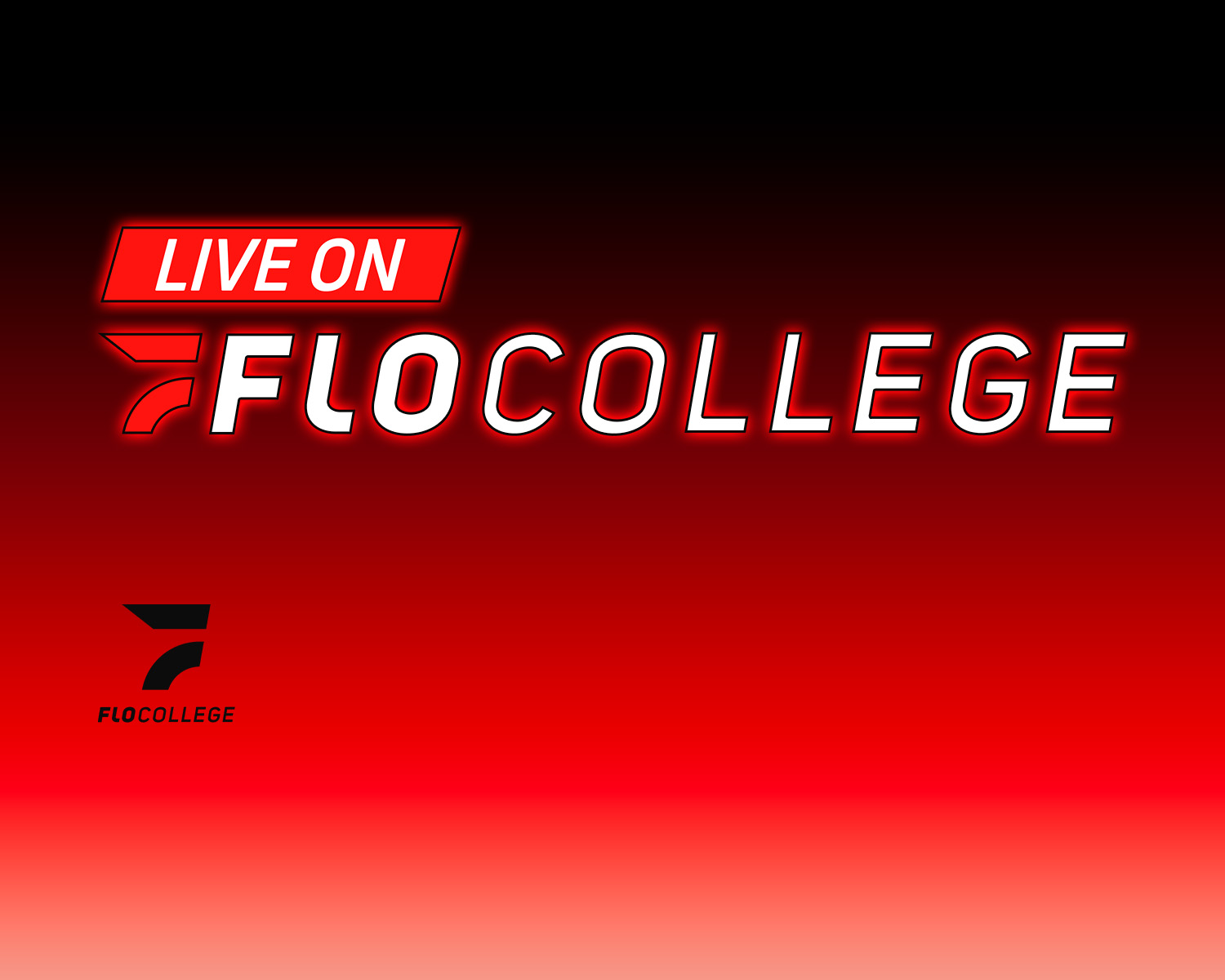 Flo Website 1